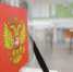 Более 49% избирателей Белгородской области отдали свой голос на выборах в областную Думу - Сетевое издание Газета-Заря 31