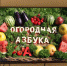 Разные посадки на одной грядке - Управление соцзащиты населения